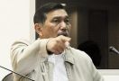 Ini Pengakuan Pak Luhut soal Isi Pertemuannya dengan Prabowo - JPNN.com