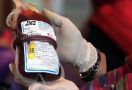 Ratusan Kantong Darah Terinfeksi Penyakit Berbahaya - JPNN.com