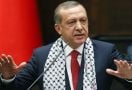 Telepon Putin, Erdogan Mengaku Tertarik Ikut Campur Masalah PLTN Ukraina - JPNN.com