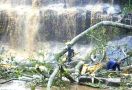 Pohon Tumbang di Air Terjun, 20 Tewas Secara Tragis - JPNN.com