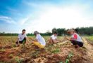 Wabah Corona, DPR Minta Sektor Pertanian Jadi Kebutuhan Prioritas - JPNN.com