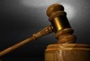 Surya Darmadi Sebut Pemerintah Tak Bisa Terbitkan HGU Sebelum Ditanami Sawit - JPNN.com