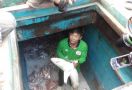 Lihatlah, Nelayan Vietnam Masih Curi Ikan di Indonesia - JPNN.com