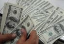Dolar AS Makin Ditinggalkan di India, Ini Penggantinya - JPNN.com