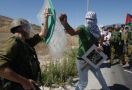 Seabad Deklarasi Balfour, Awal Semua Penderitaan Palestina - JPNN.com