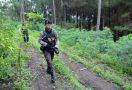 Tegang! Teroris Terkepung di Kebun Jagung, Akhirnya... - JPNN.com