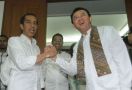 Jokowi Bakal Kena Imbas Jika Ahok Bebas - JPNN.com