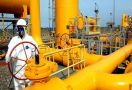 Produksi Gas Industri Naik 300 Persen - JPNN.com