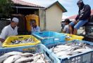 Sejarah, Maluku Utara Akhirnya Ekpor Ikan - JPNN.com