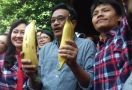 Penasaran Lihat Pisang Berukuran Jumbo, Djarot: Harus Dua - JPNN.com