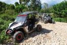 Sensasi Offroad di Hutan Pinus Desa Wisata Nglinggo - JPNN.com