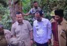 Komisi IV Tinjau Hutan Adat di Pandumaan-Sapituhuta, Sumut - JPNN.com