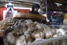 Kementan Konsisten Jalankan Aturan Wajib Tanam Bagi Importir Bawang Putih - JPNN.com