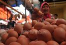 Kementan Gerojok Pasar dengan Telur Ayam, Rp 19.500 per Kg - JPNN.com
