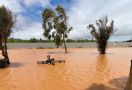 Curah Hujan Tinggi di Australia Barat Sebabkan Banjir, tetapi Petani Pisang Malah Bersyukur - JPNN.com