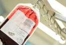 Plasma Darah Pasien COVID-19 yang Sembuh Dijual Sebagai Vaksin di Pasar Gelap - JPNN.com