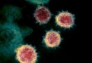 Sejumlah Jenis Baru Virus Corona Mengkhawatirkan Tapi Para Pakar Optimis - JPNN.com