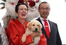 Terungkap, Pejabat Kota Sydney Terlibat Organisasi Pro-Partai Komunis Tiongkok - JPNN.com