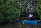 Kembangkan Mangrove, Pupuk Kaltim Raih Penghargaan AREA 2021 - JPNN.com