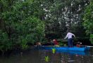 BRGM: Rehabilitasi Mangrove Akan Melibatkan Perusahaan Swasta - JPNN.com