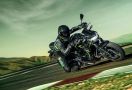 Kawasaki Meluncurkan Z650 2022, Simak Nih Pembaruannya - JPNN.com