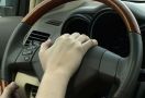 Menteri Transportasi Akan Ganti Suara Klakson Kendaraan dengan Bunyi Biola - JPNN.com