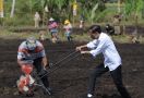 Presiden Jokowi Dorong Peningkatan Produktivitas Sektor Pertanian di Papua Barat - JPNN.com