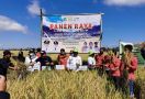 Petani Sidrap Panen Dua Kali Lipat - JPNN.com