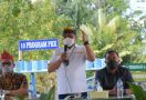 Anggota DPR Ingin Lahan di Kawasan Danau Toba Dimaksimalkan untuk Produksi Jagung - JPNN.com