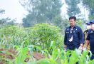 Mentan SYL Dorong 2 Kabupaten Ini jadi Food Estate Berbasis Hortikultura - JPNN.com