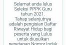 Hasil Sanggah Seleksi PPPK Guru di SSCASN Berubah, Honorer Resah, Payah! - JPNN.com