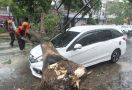 Bencana Angin Kencang Menyebabkan Pohon Tumbang di 10 Lokasi ini - JPNN.com