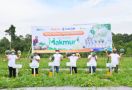 Program Makmur Pupuk Kaltim Tingkatkan Produktivitas Melon & Semangka di Kutai Kartanegara - JPNN.com