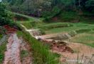 Puluhan Hektare Sawah di Cianjur Terendam Banjir - JPNN.com