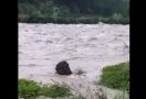 Suho Hilang Terseret Arus Sungai - JPNN.com