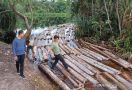 Polda Riau Sikat Anak Jenderal Pelaku Illegal Logging - JPNN.com