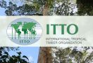 Indonesia Usung Diplomat Senior Ini Jadi Direktur Eksekutif ITTO - JPNN.com