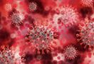 Waspada! Virus Marburg Belum Ada Obatnya, Pahami Gejala dan Cara Mencegahnya - JPNN.com