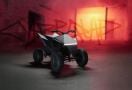 Tesla Hadirkan ATV untuk Anak, Harganya di Bawah Rp 30 Juta - JPNN.com