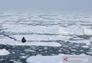 Pertama Kali Terjadi, Suhu di Arktik Tidak Pernah Sepanas Ini Sebelumnya - JPNN.com