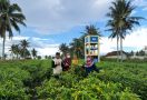 Produk Hortikultura Cabai Paku Masuk Daftar Top 45 Inovasi Pelayanan Publik - JPNN.com
