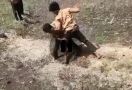 Dua Pelajar SMP Baku Hantam di Tengah Sawah, Videonya Viral - JPNN.com