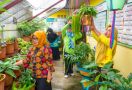 Makrifah Herbal Binaan Pupuk Kaltim Raup Omzet Ratusan Juta - JPNN.com