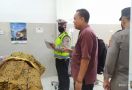 Kecelakaan Maut di Bypass Bandara Lombok, Pejalan Kaki Tewas Mengenaskan - JPNN.com