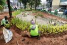 Kurangi Genangan Air di Jalan, Sudin Jakpus Bangun Green Infrastructure - JPNN.com