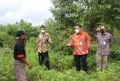 Kemendagri Tinjau Lahan Kritis di Bantul, Petani Keluhkan Ketersediaan Air - JPNN.com