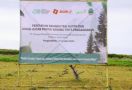 SiCepat Ekspres Tanam 20 Ribu Bibit Pohon Cemara Udang di Pesisir Pantai Pangandaran - JPNN.com