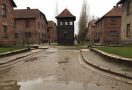 Museum Holocaust - JPNN.com