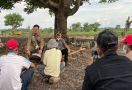 Mentan SYL Bercerita dengan Petani Jagung di Jeneponto, Begini Kalimatnya - JPNN.com