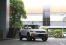 VW T-Cross Resmi Dijual di Indonesia, Ini Spesifikasi dan Harganya - JPNN.com